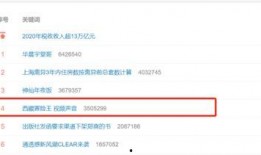 西藏冒险王爆料微博视频,挑战极限的探险之旅